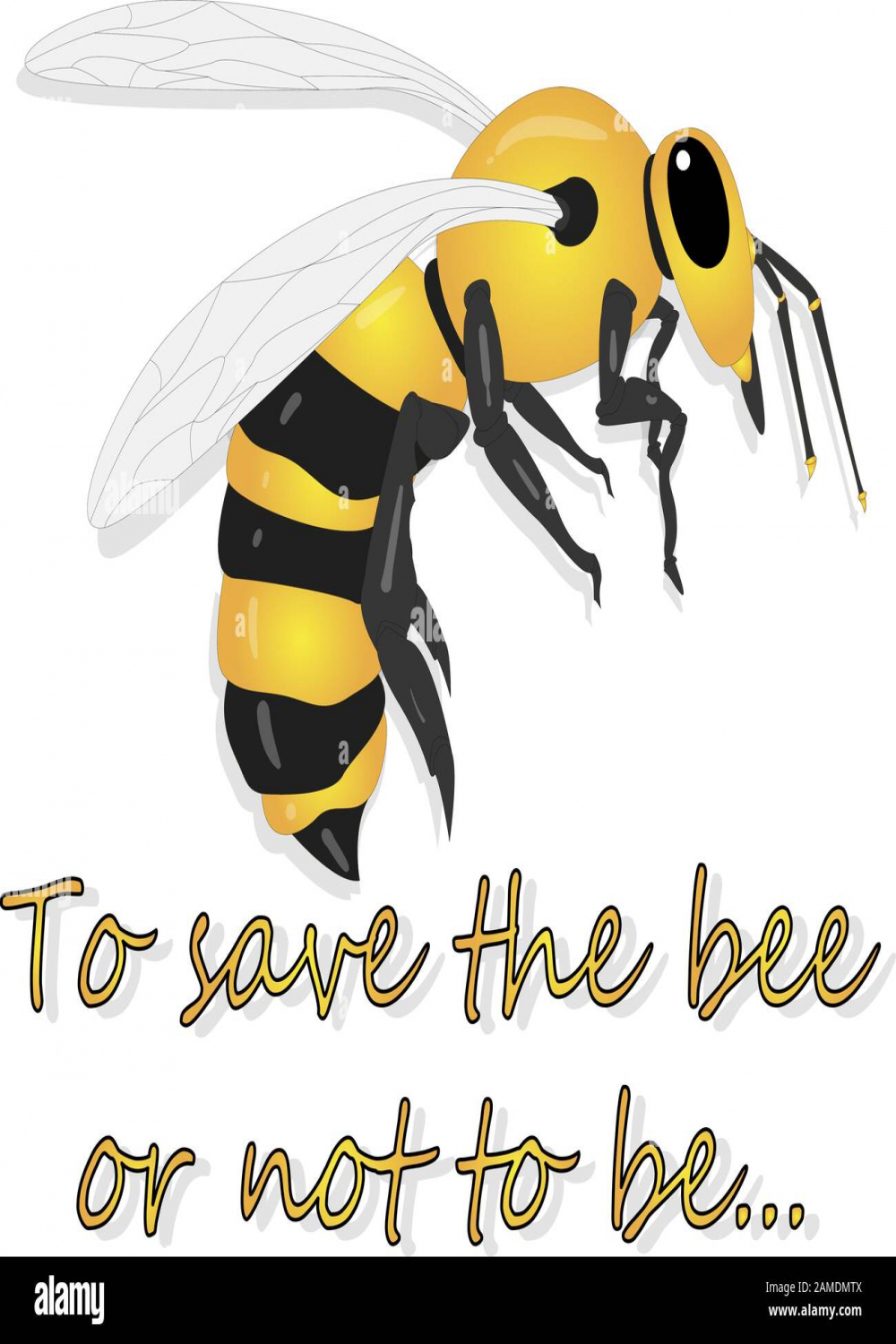 Bee illustration - vector text quotes and bee drawing