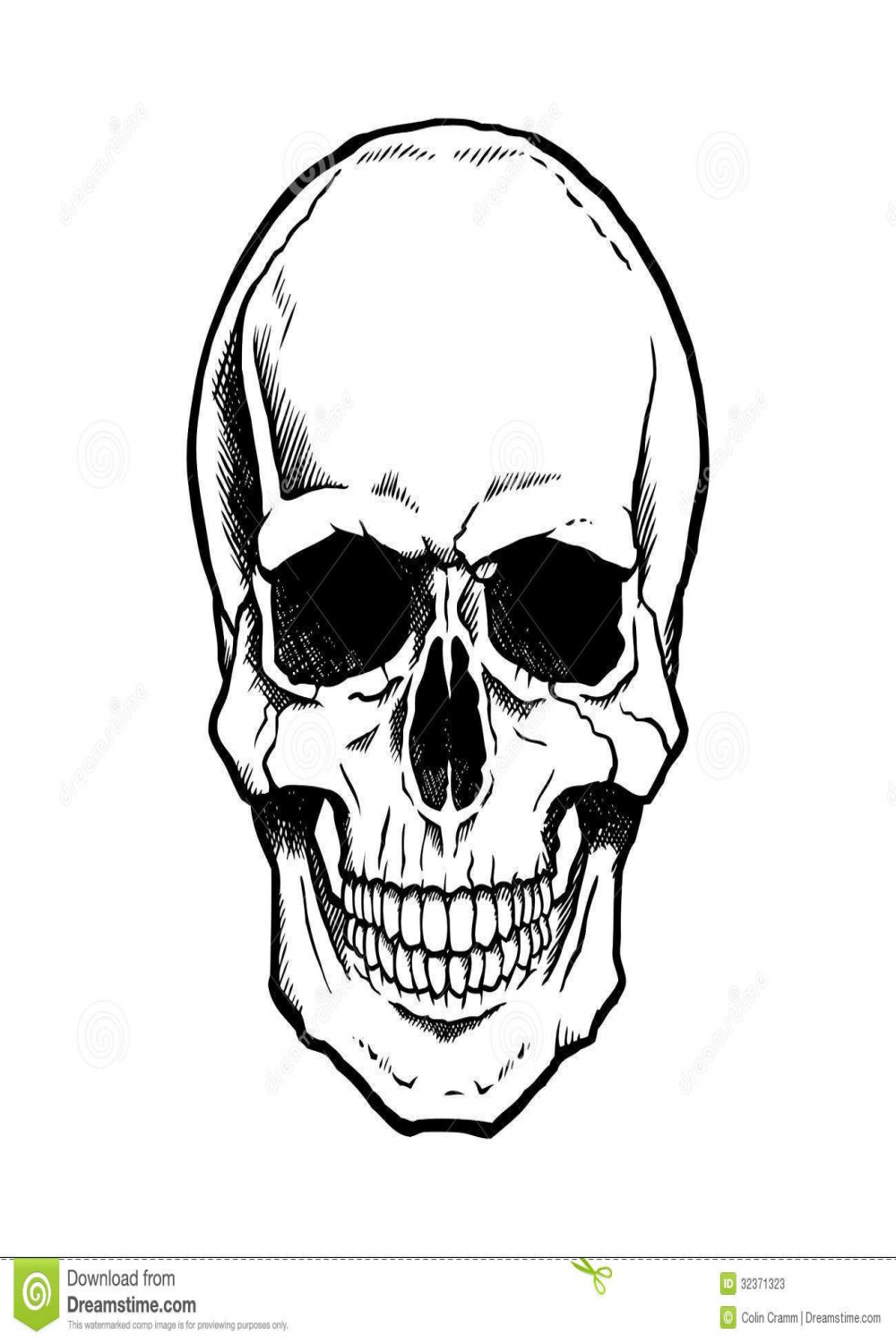 Black And White Human Skull With Jaw Stock Photos - Image