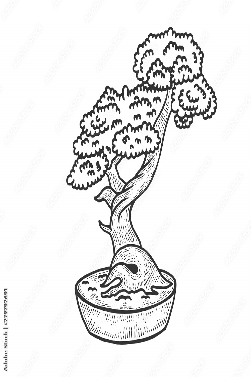 Bonsai japanese tree sketch vector illustration