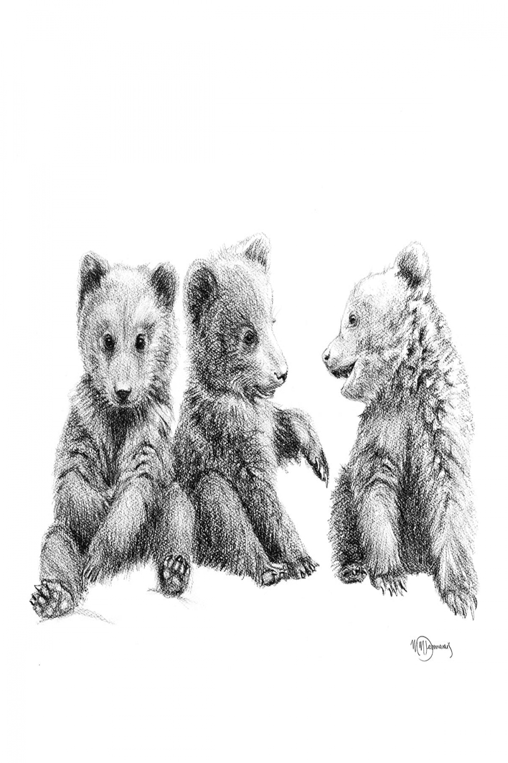 Brown Bear Cubs Illustration - "Social Animal" Collection - LE