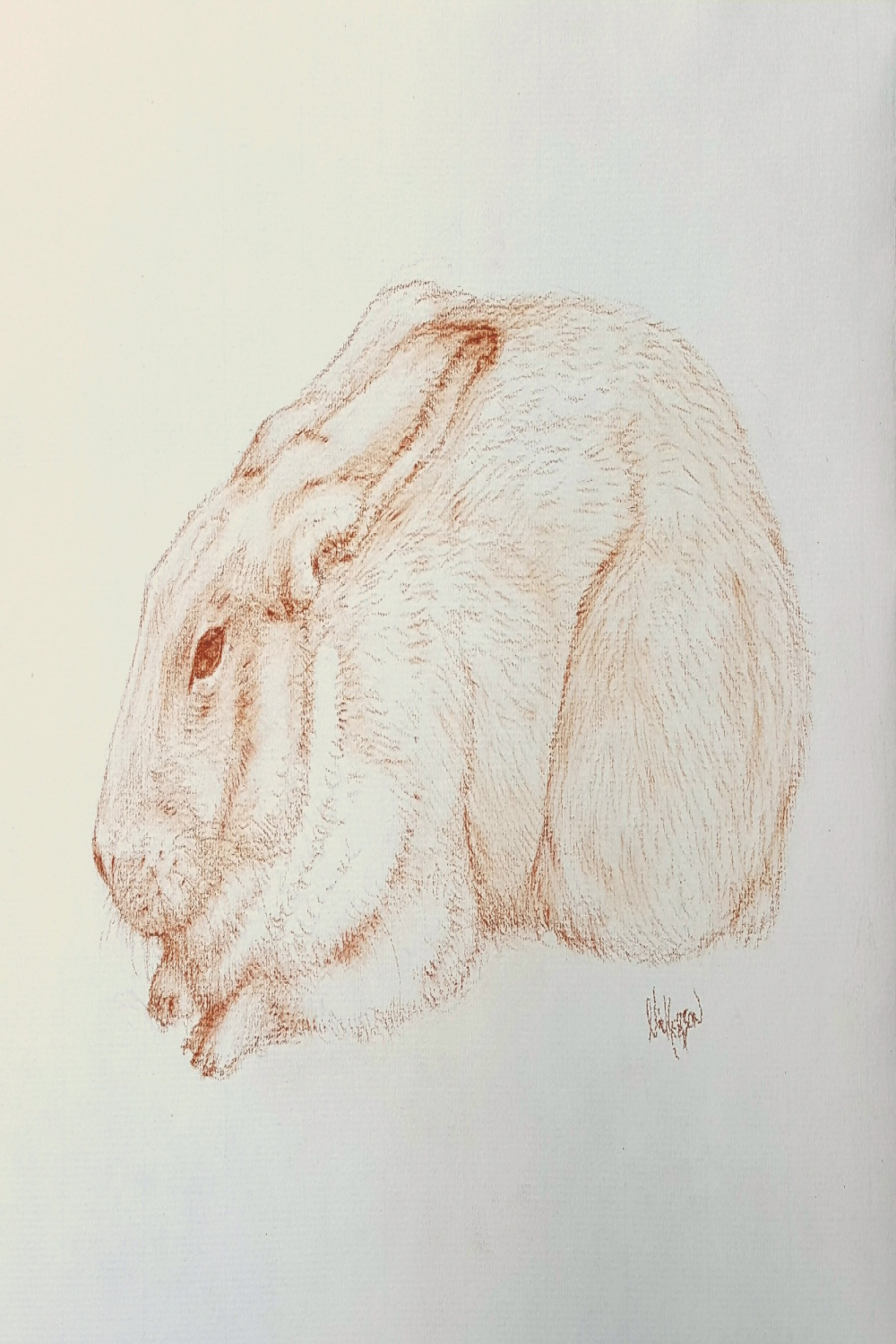 Butterscotch Spigot Bunbun Nickerson – Lucas Nickerson Fine Artist