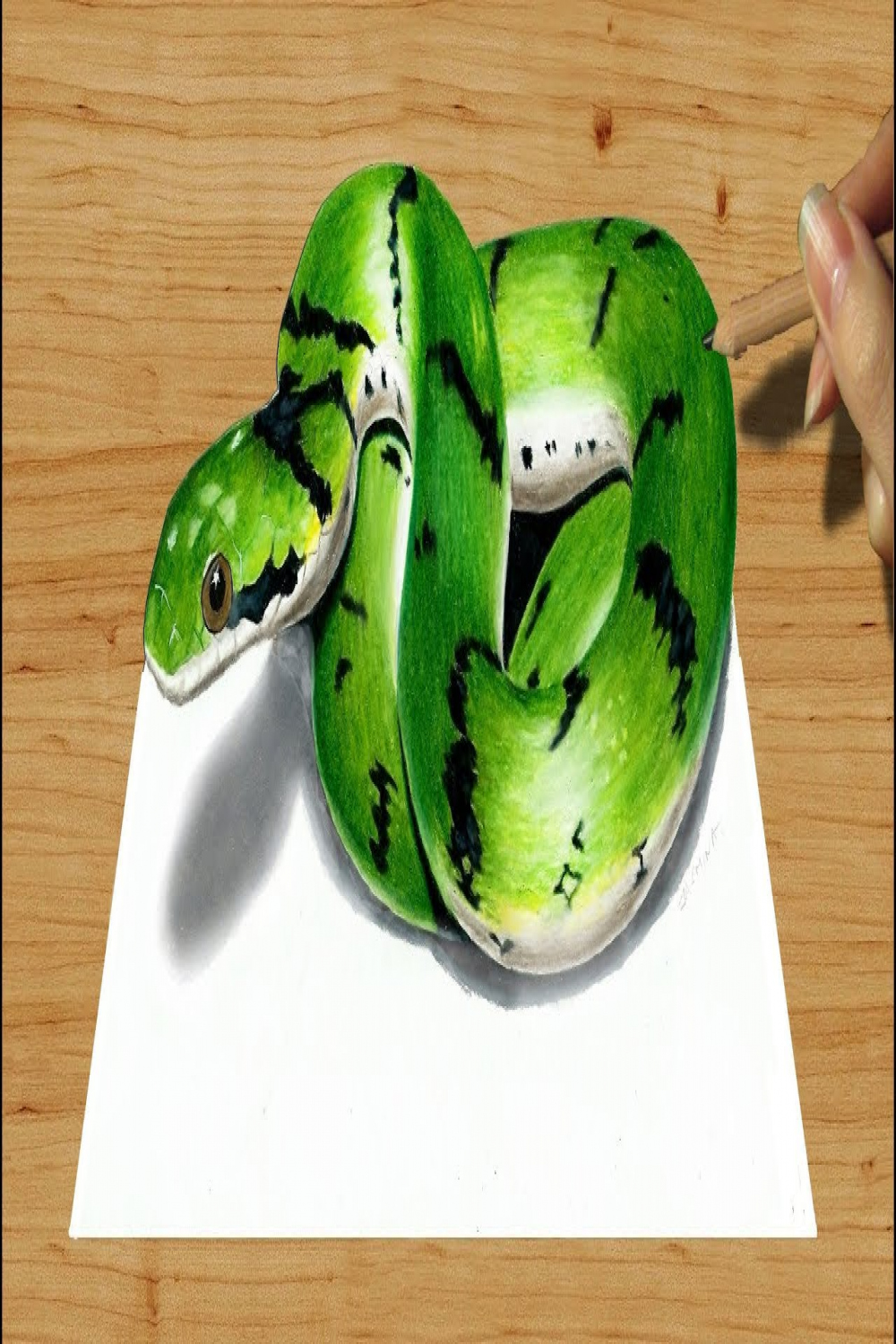 D Colored Pencil Drawing: Cute Green Snake - Speed Draw  Jasmina Susak