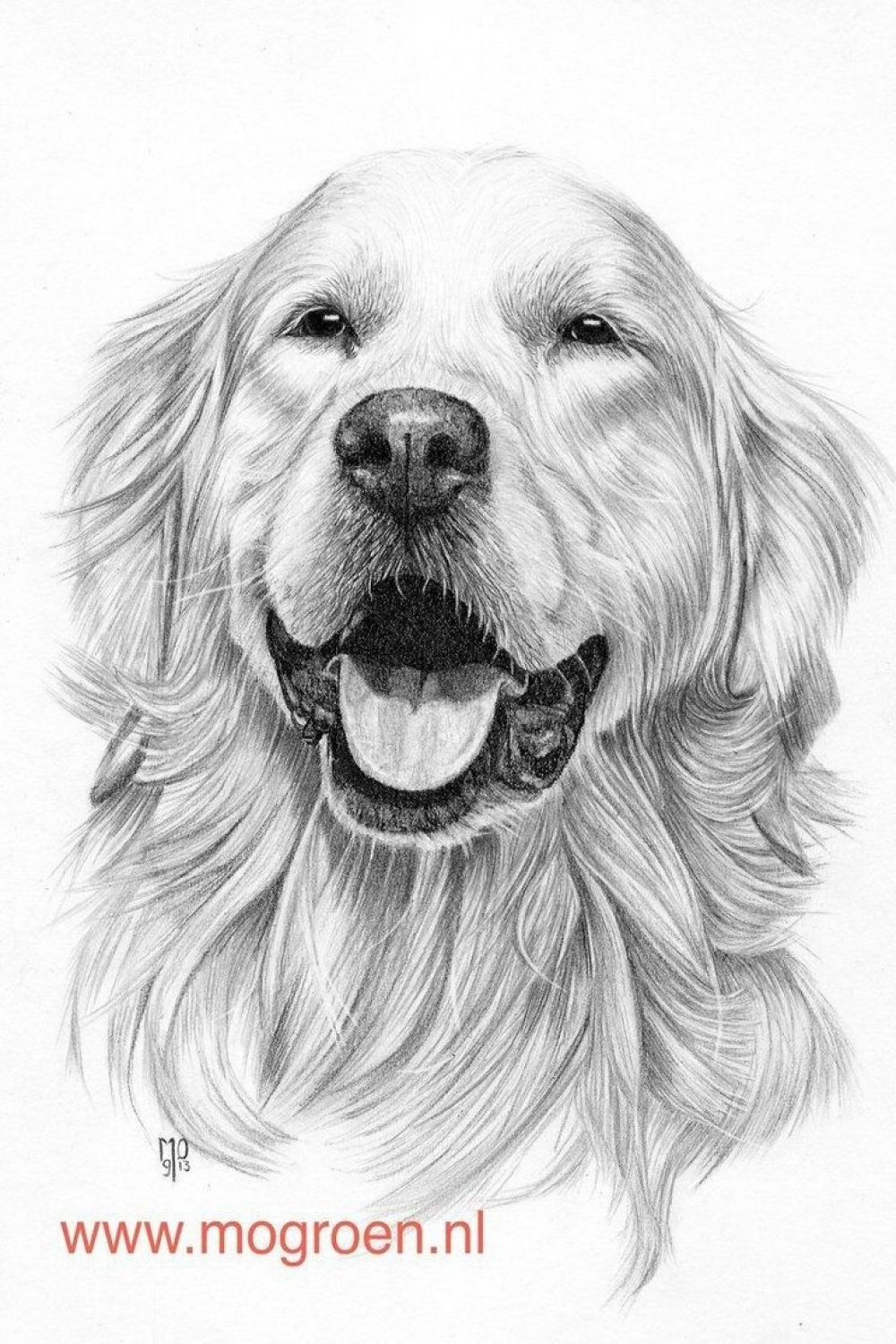 Golden Retriever Coloring Page Coloring Pages Draw A Golden