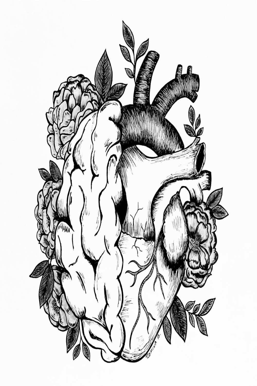 Heart and brain drawing by art on DeviantArt