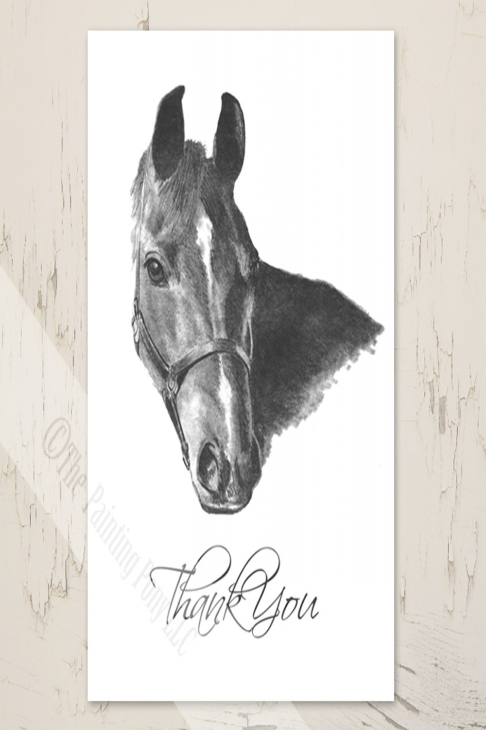 Horse Head Drawing Thank You Note Cards ( pk)