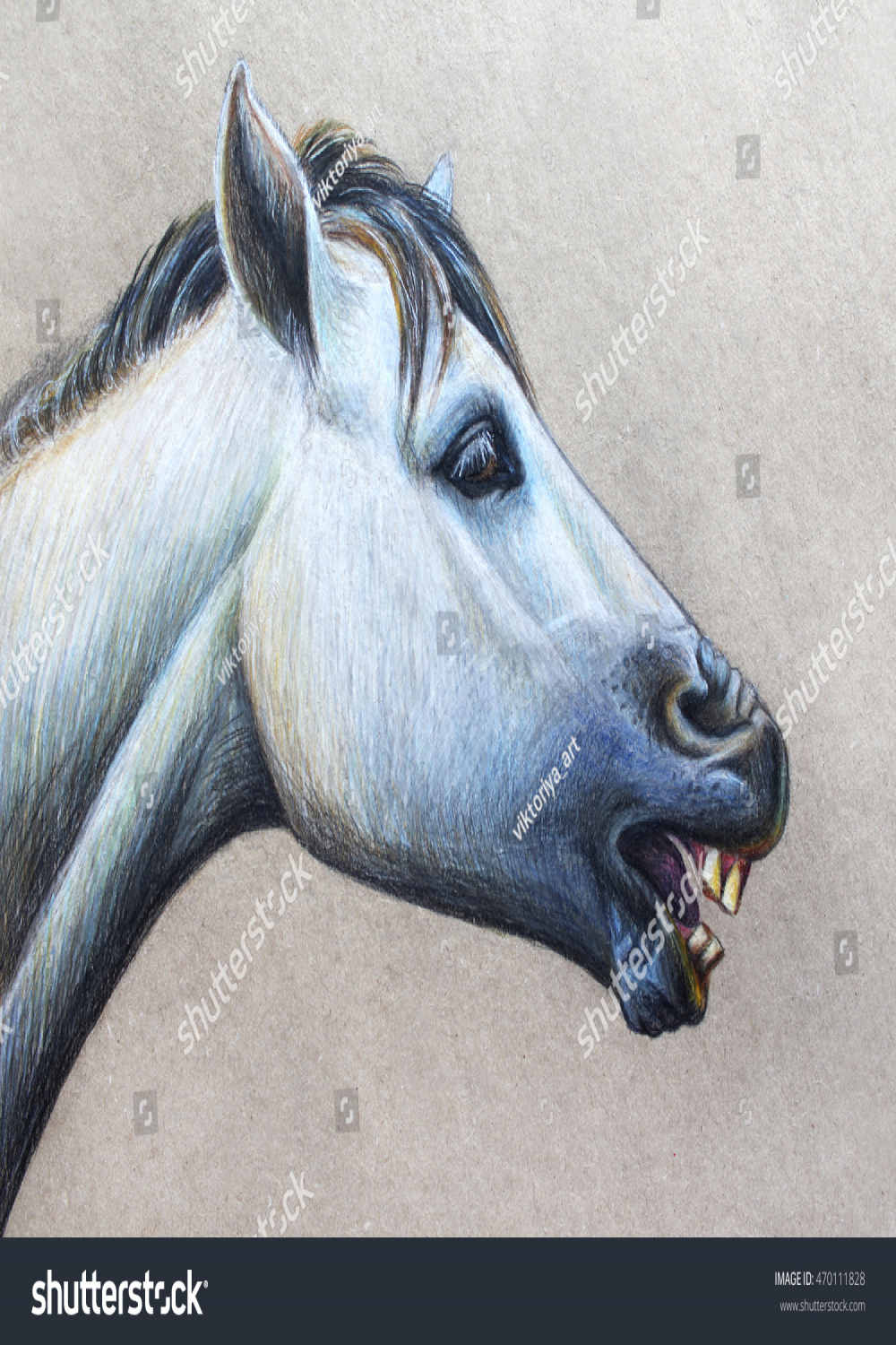 Horse Neighing Drawing Stock Illustration   Shutterstock