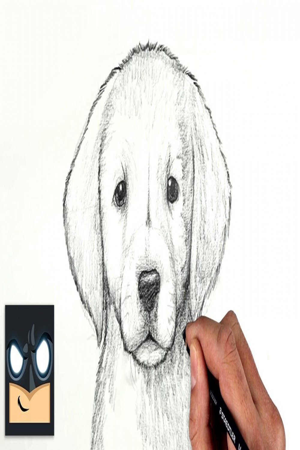 How To Draw a DOG  GOLDEN LAB PUPPY  Sketch Saturday - YouTube