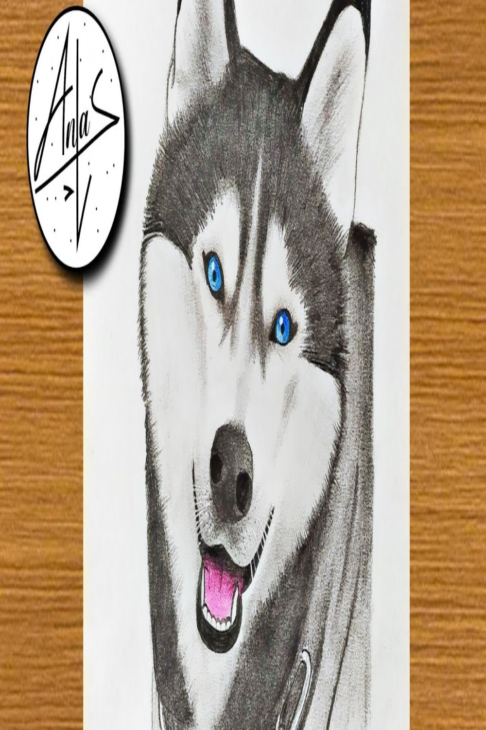 How To Draw A Husky Dog  Sketch Tutorial (step by step )