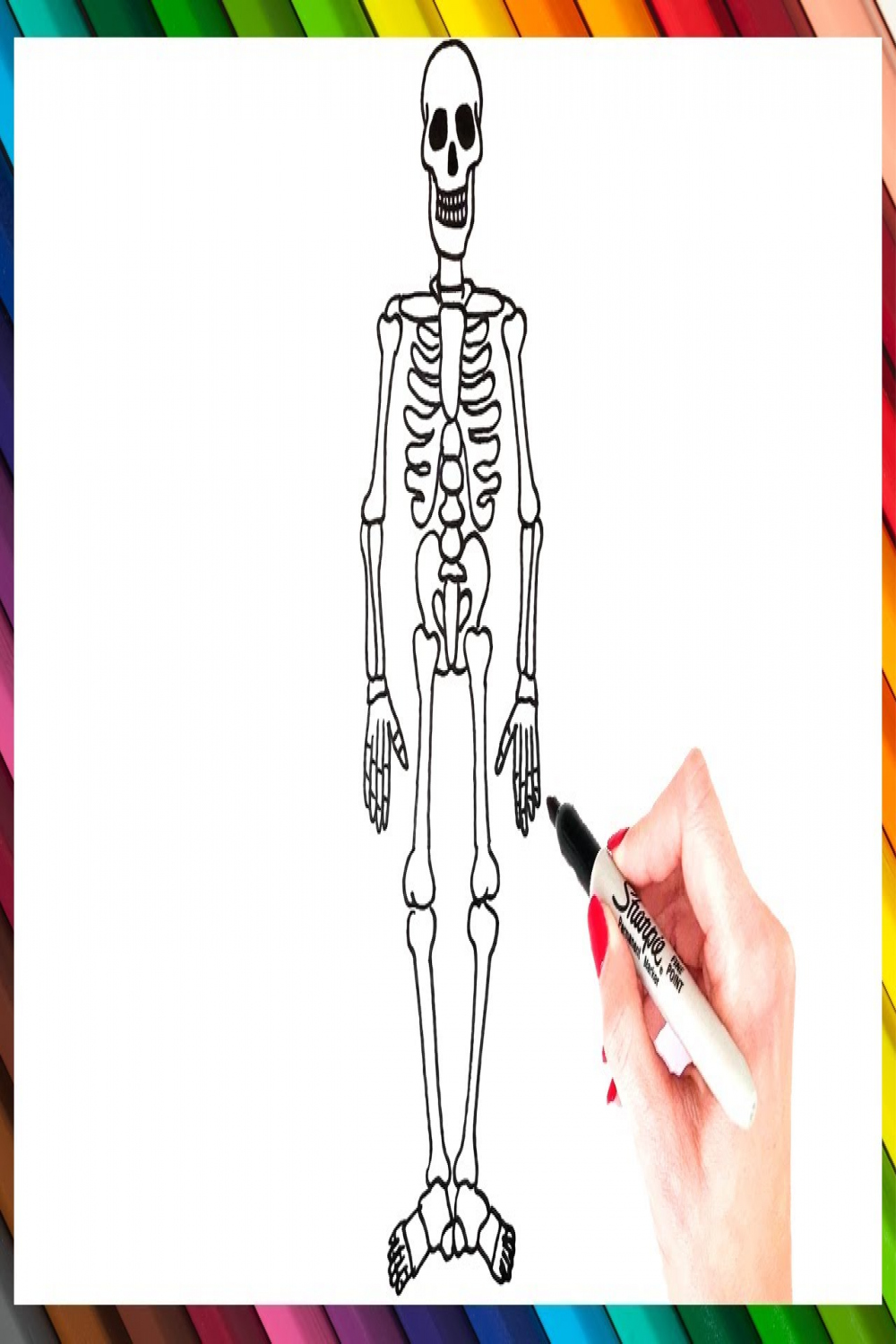 How To Draw A Skeleton Step By Step  Skeleton Drawing EASY  Super Easy  Drawing Tutorials