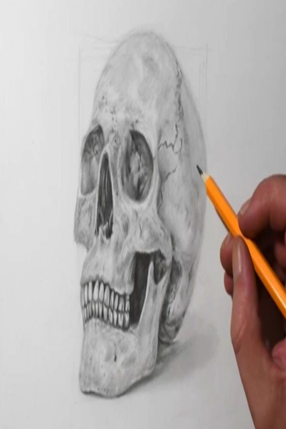 How to Draw a Skull  Pencil Drawing