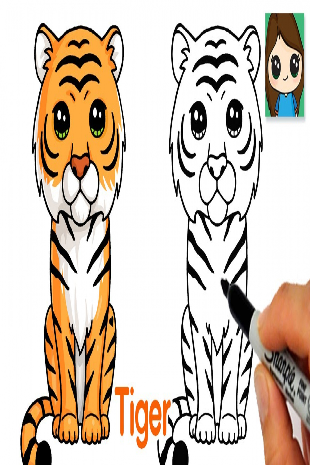 How to Draw a Tiger Easy 🐯Cute Cartoon Animal