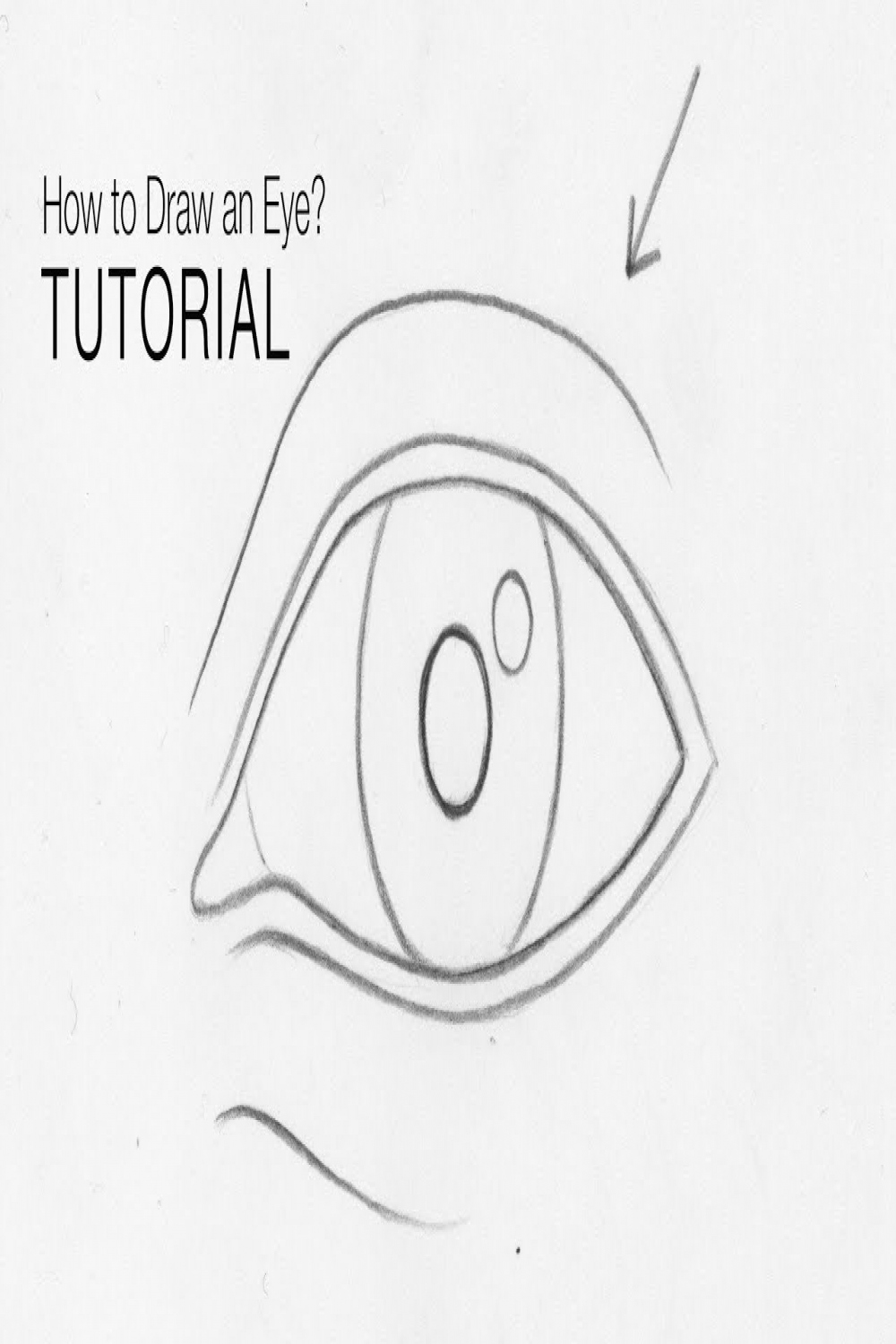 How to draw an eye from any angle for BEGINNERS (Basic proportions) - EASY