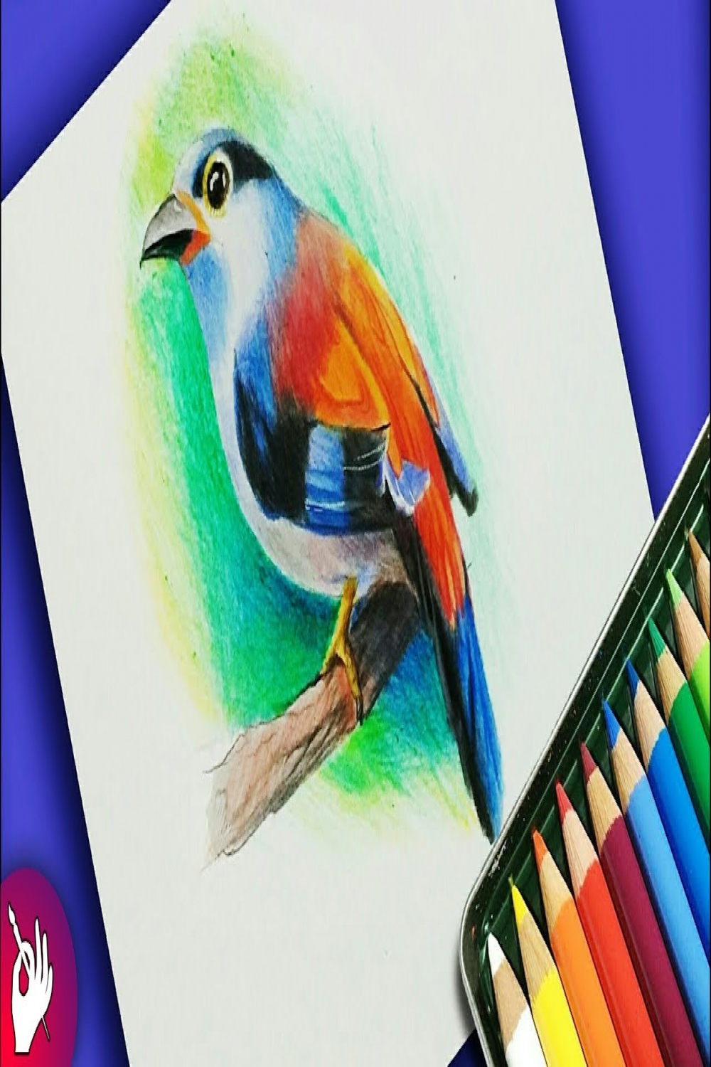 How to draw bird with colour pencil step by step