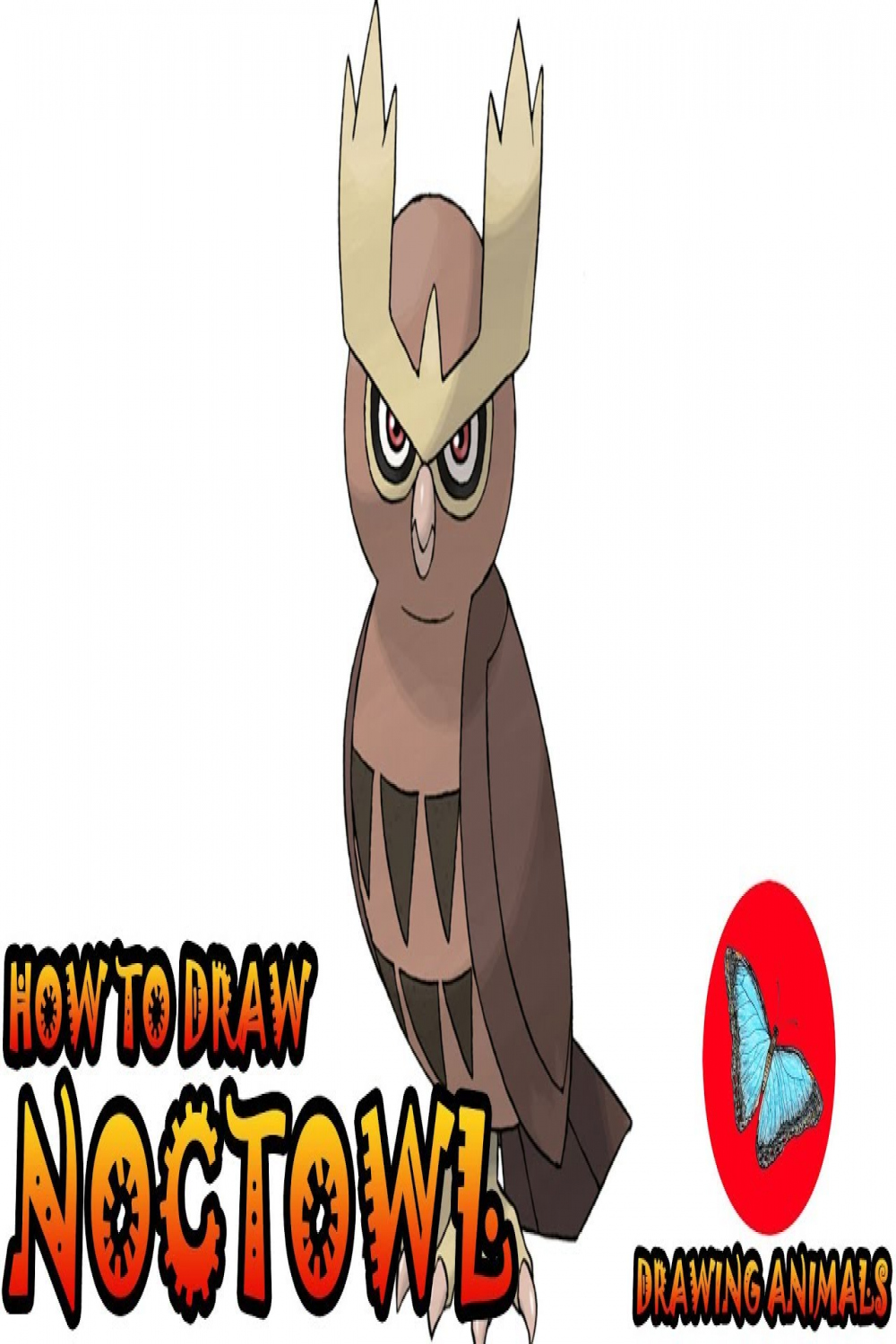 How To Draw Noctowl Pokemon  Coloring and Drawing For Kids