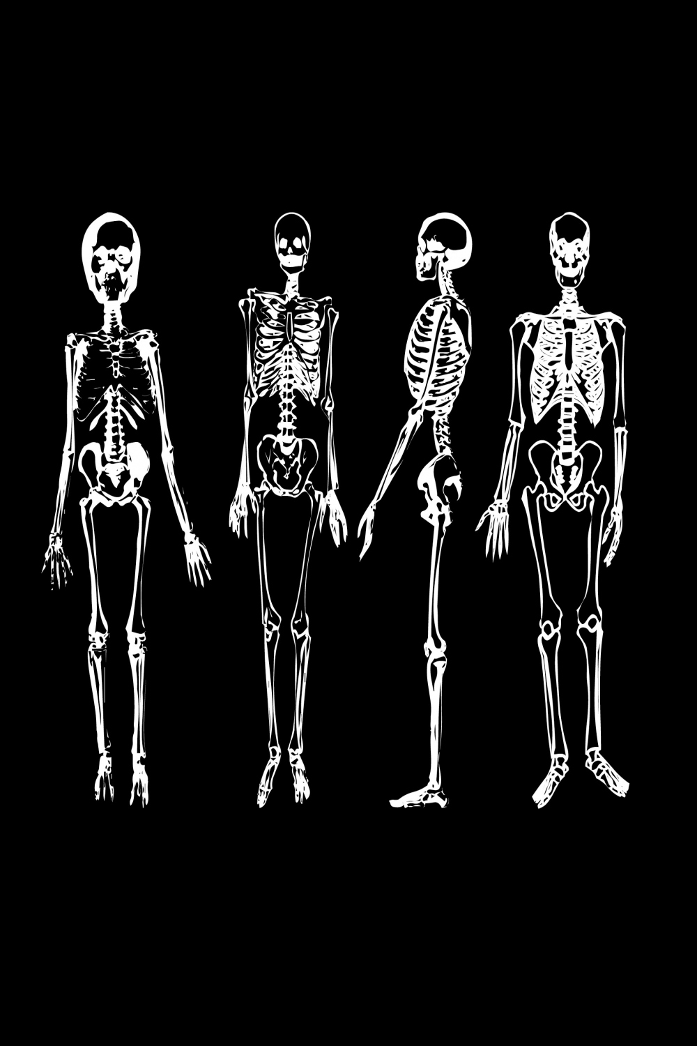 Image of  skeletons  CreepyHalloweenImages