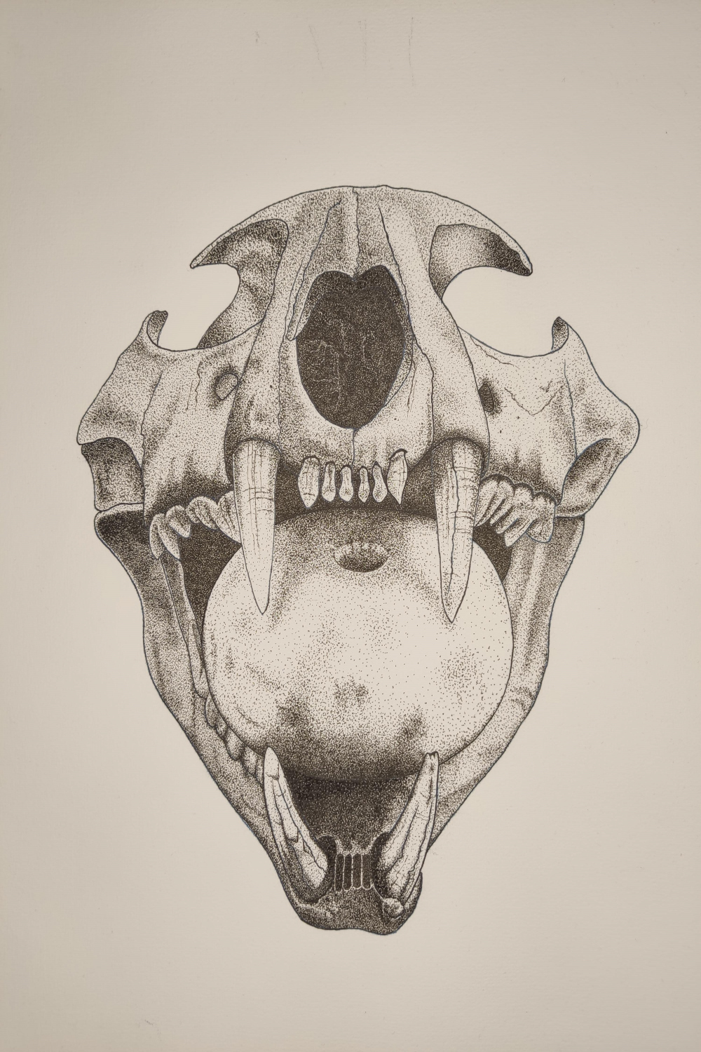 Jaguar skull, what do you think? : r/drawing