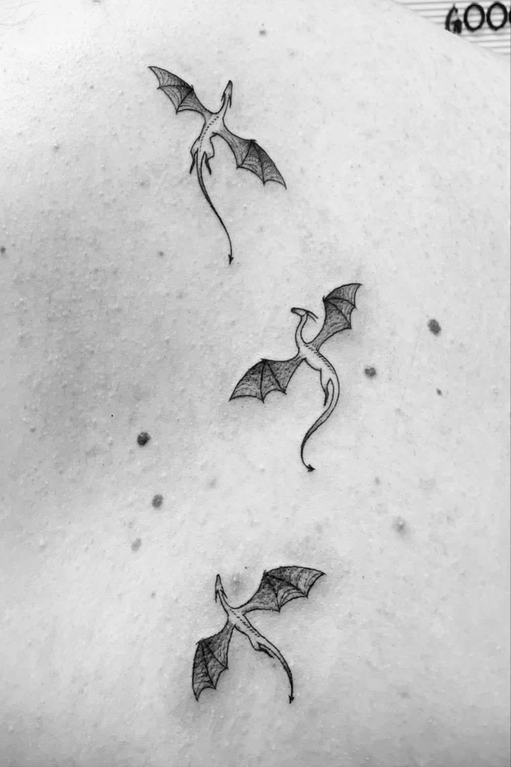 little dragons  Body tattoos, Bookish tattoos, Small tattoos