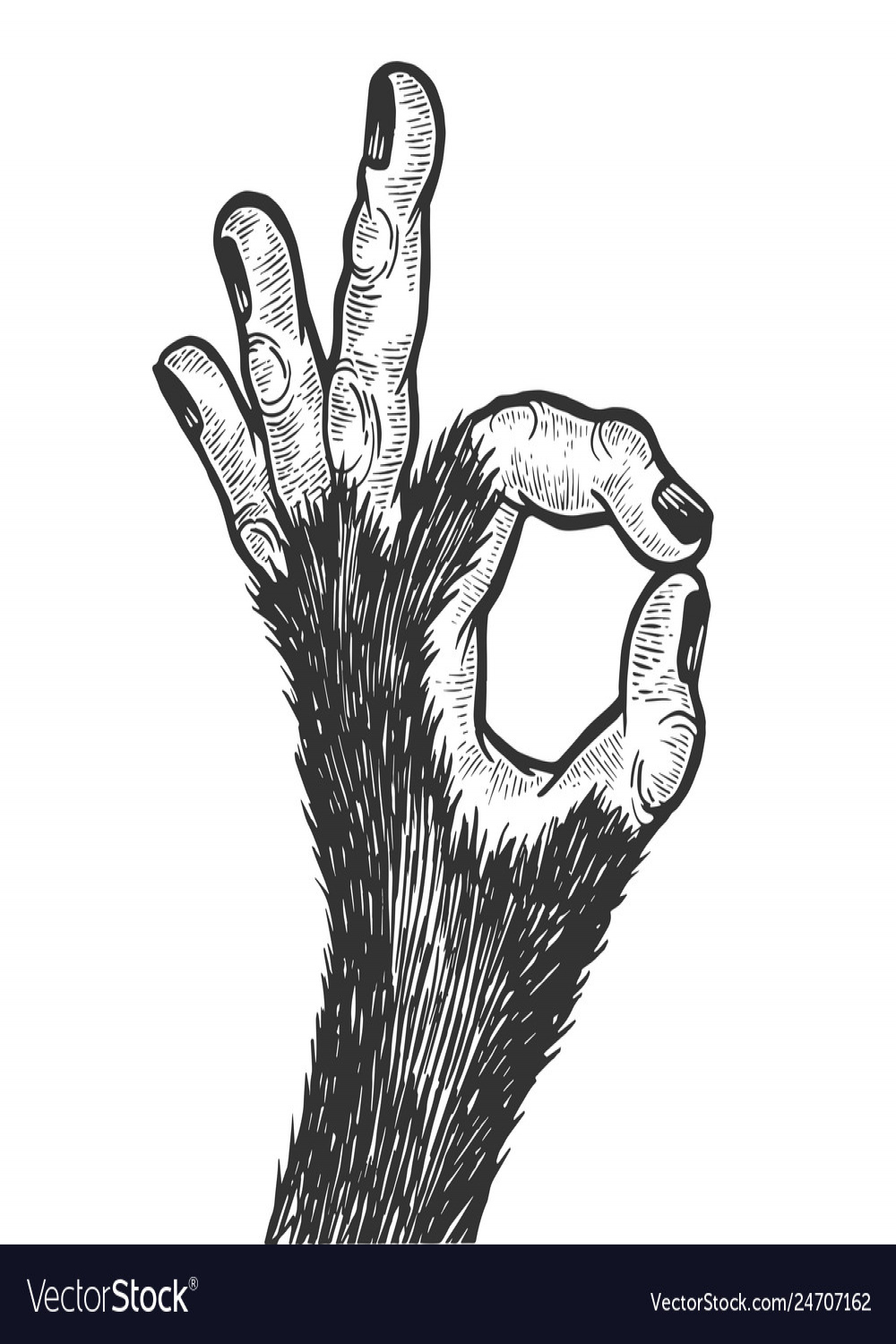 Monkey hand ok gesture sketch engraving Royalty Free Vector