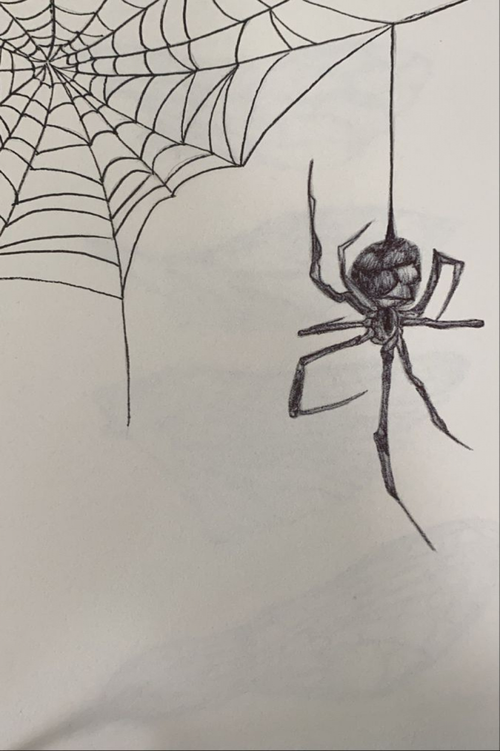 Pin by G van Helden on School-ideeën  Spider drawing, Spiderman