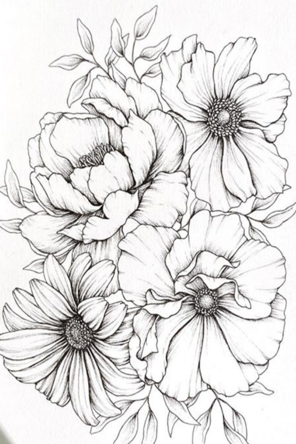 Pin by Ic on 花  Flower art drawing, Pencil drawings of flowers