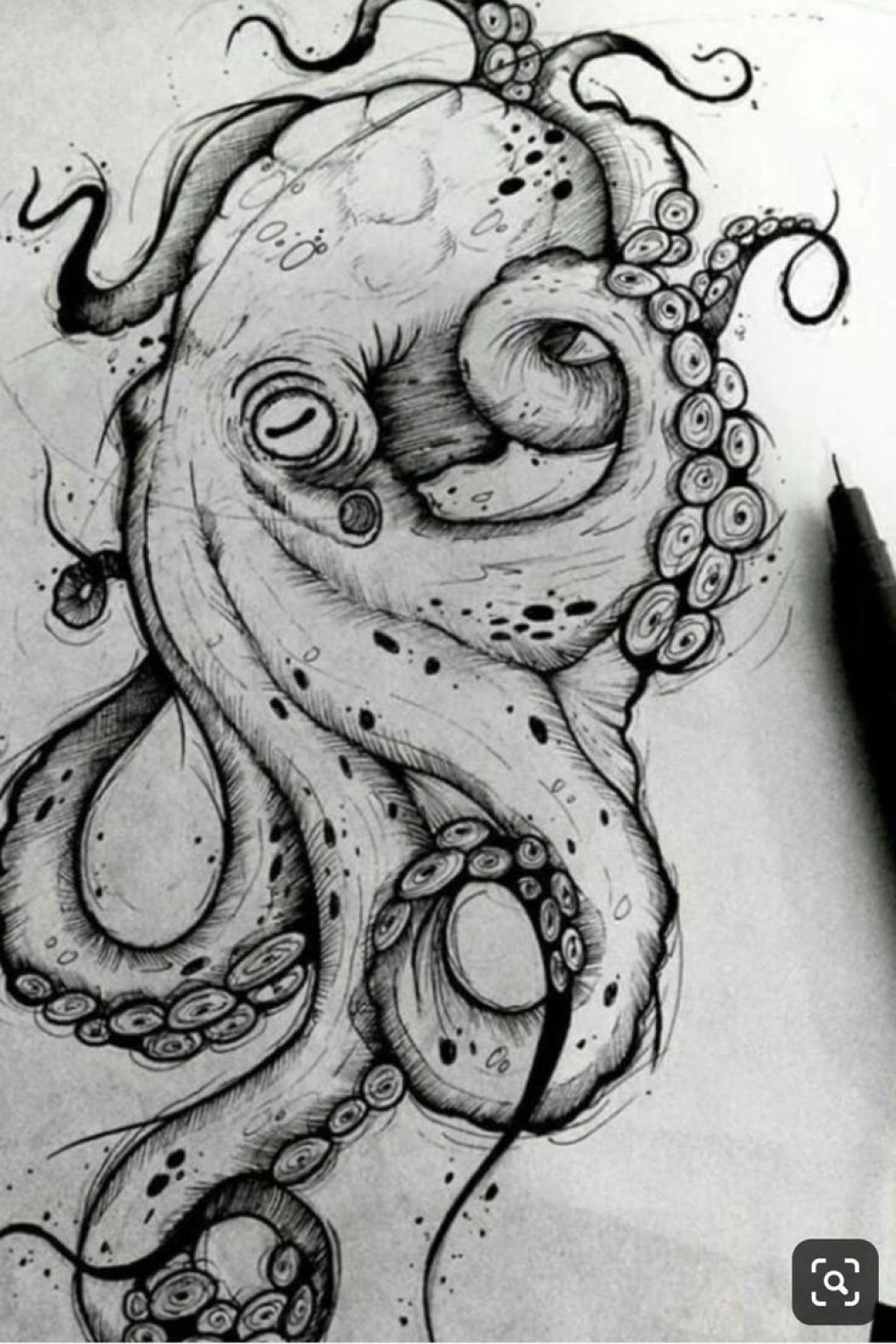 Pin by REVAN on Drawings  Octopus drawing, Octopus tattoo design