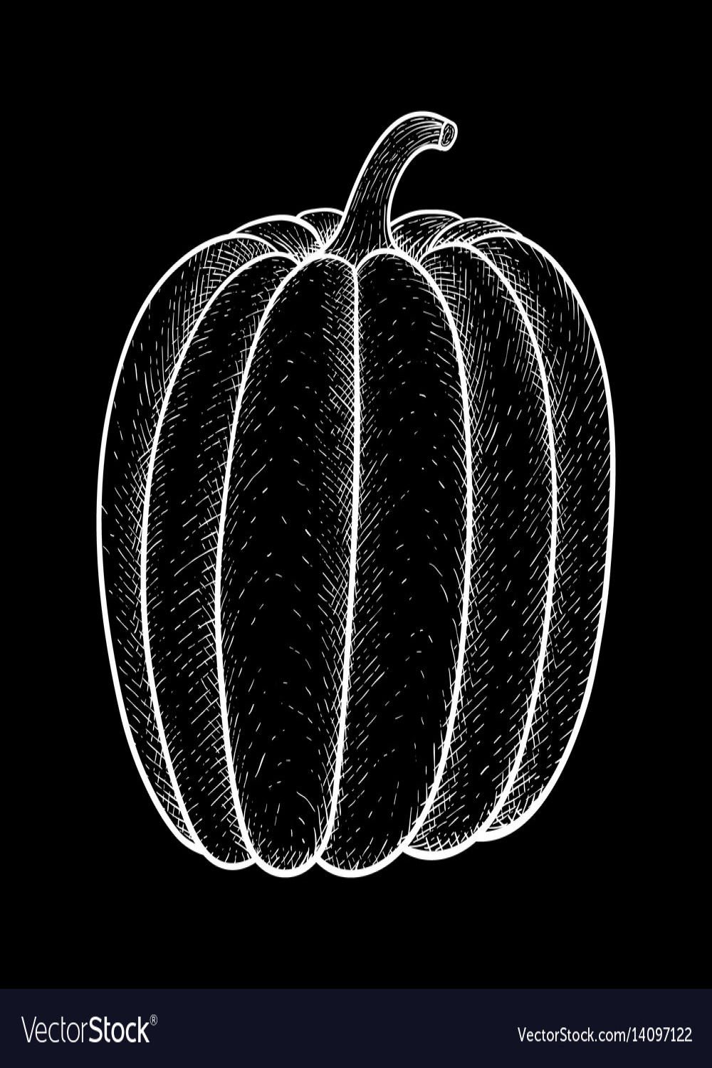 Pumpkin white outline drawing on black background Vector Image