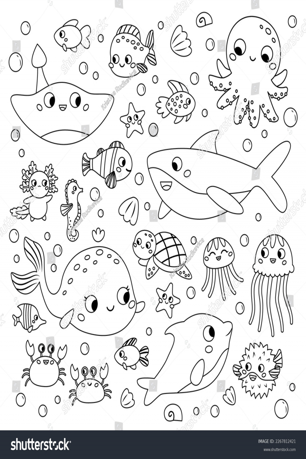 , Sea Animals Outline Drawing Images, Stock Photos, D