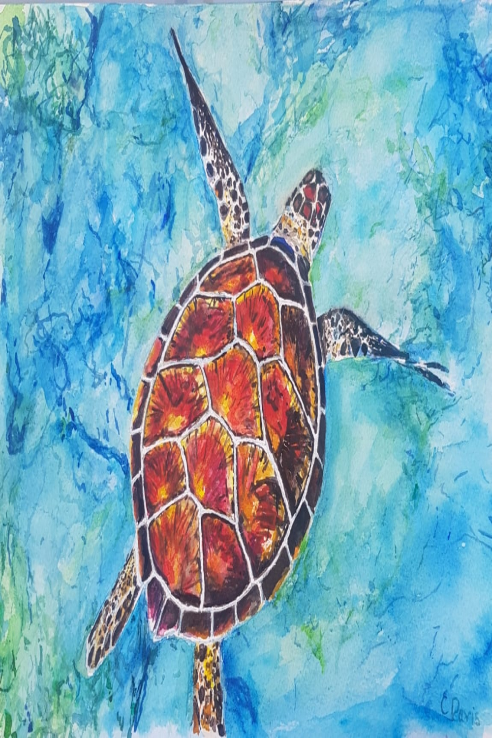 Sea turtle by Christine Davis  Artwork Archive