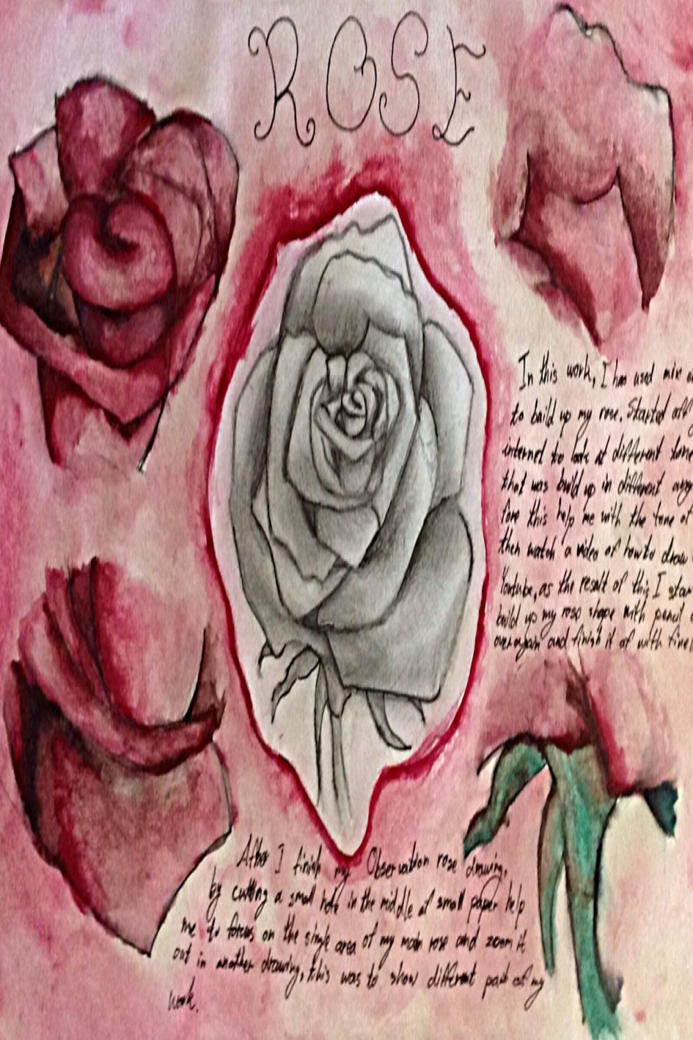 Secondary source drawing of a rose A &   Roses drawing, Gcse