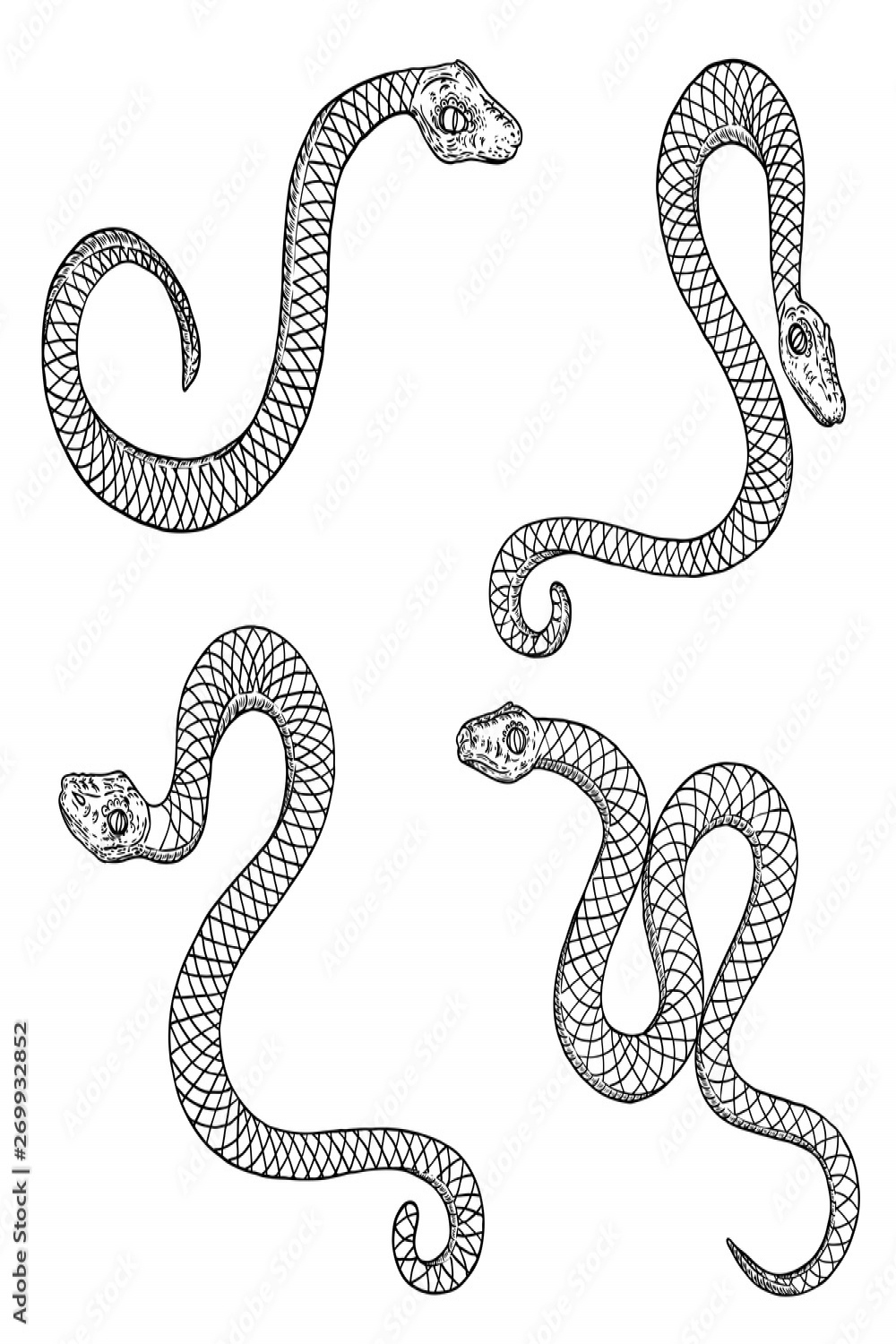 Set of snake drawing illustration