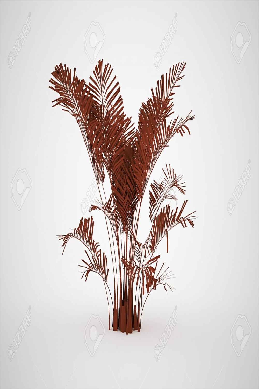 Small Red Palm Tree Rendered Stock Photo, Picture and Royalty Free