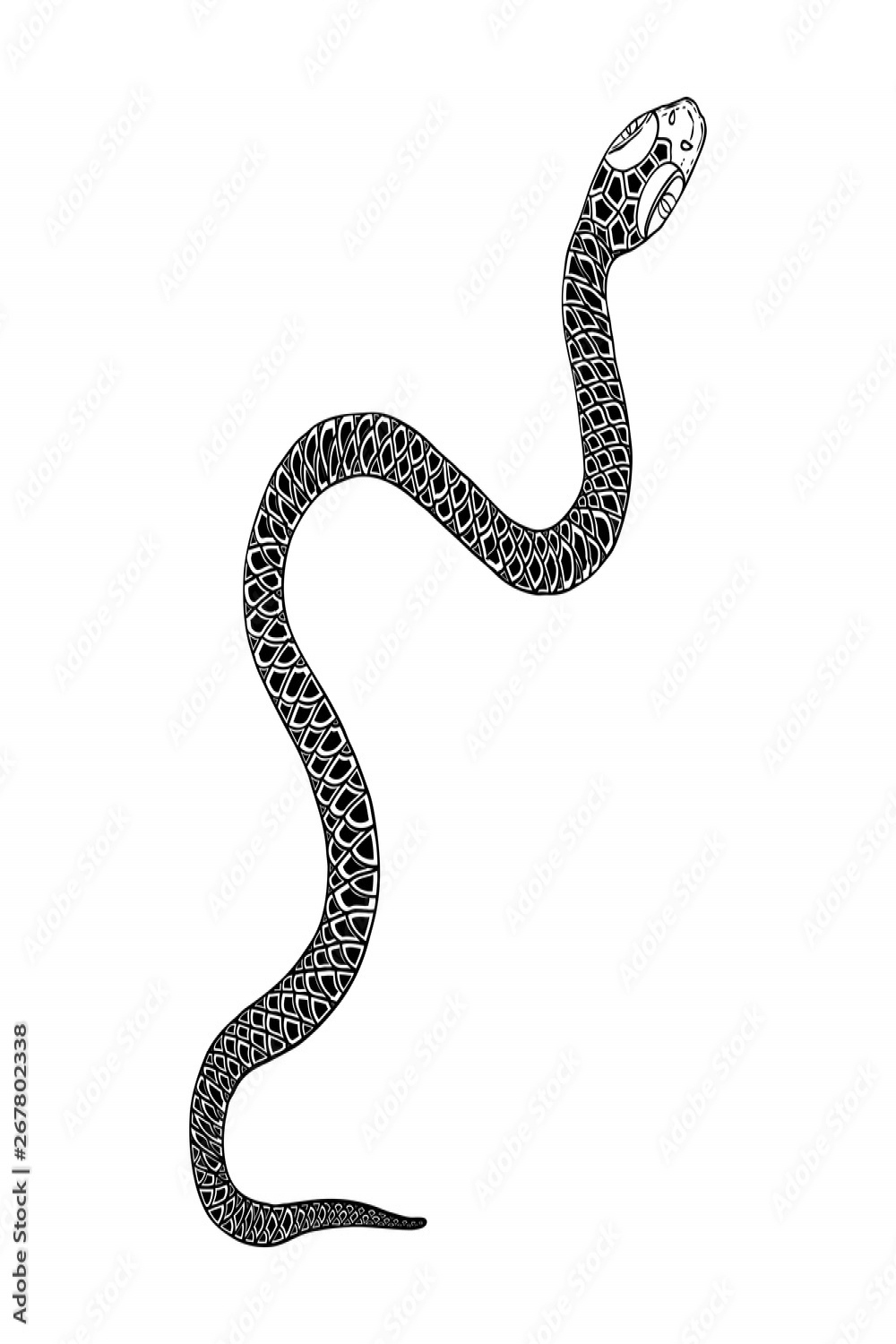 Snake drawing illustration