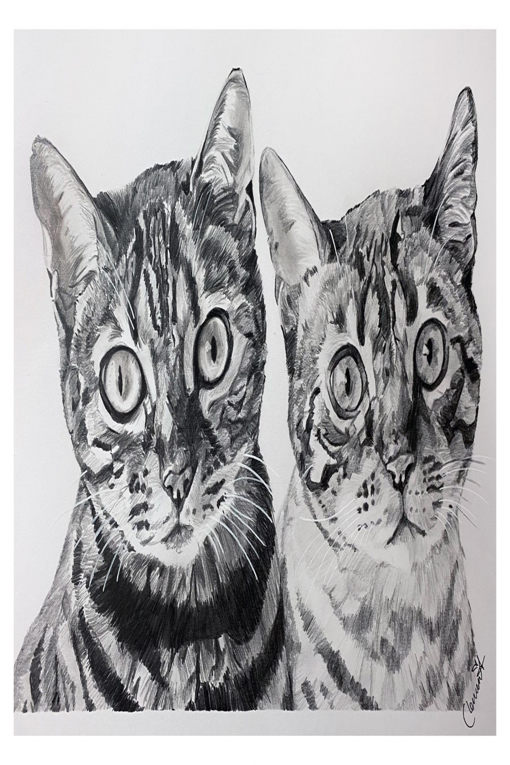 Traditional Drawing - Two cats - finished by elviraNL on DeviantArt