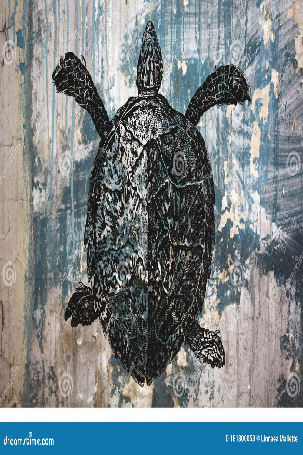 Vintage Sea Turtle Drawing on Grunge Blue Background Stock