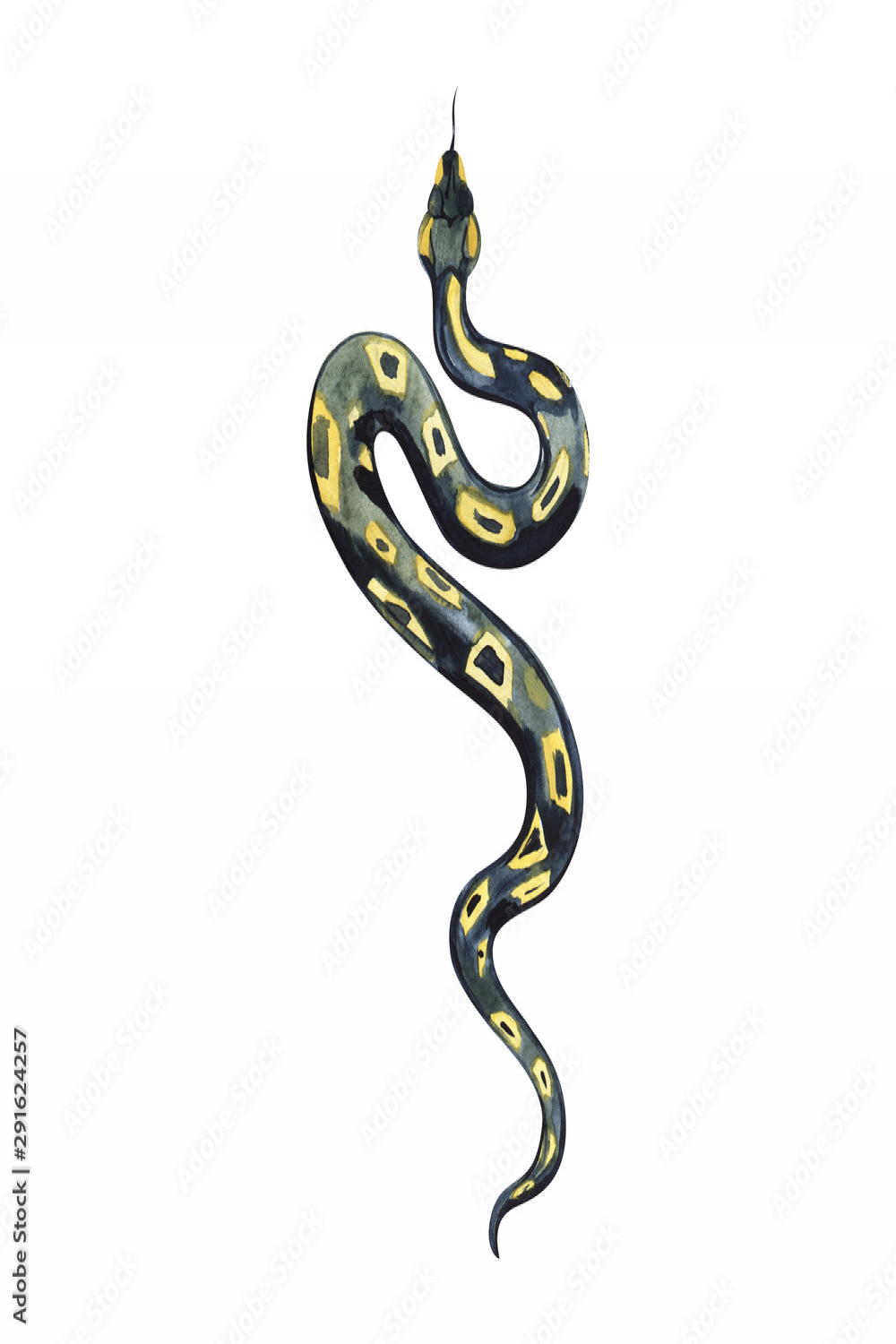 Watercolor painting of a beautiful black yellow snake