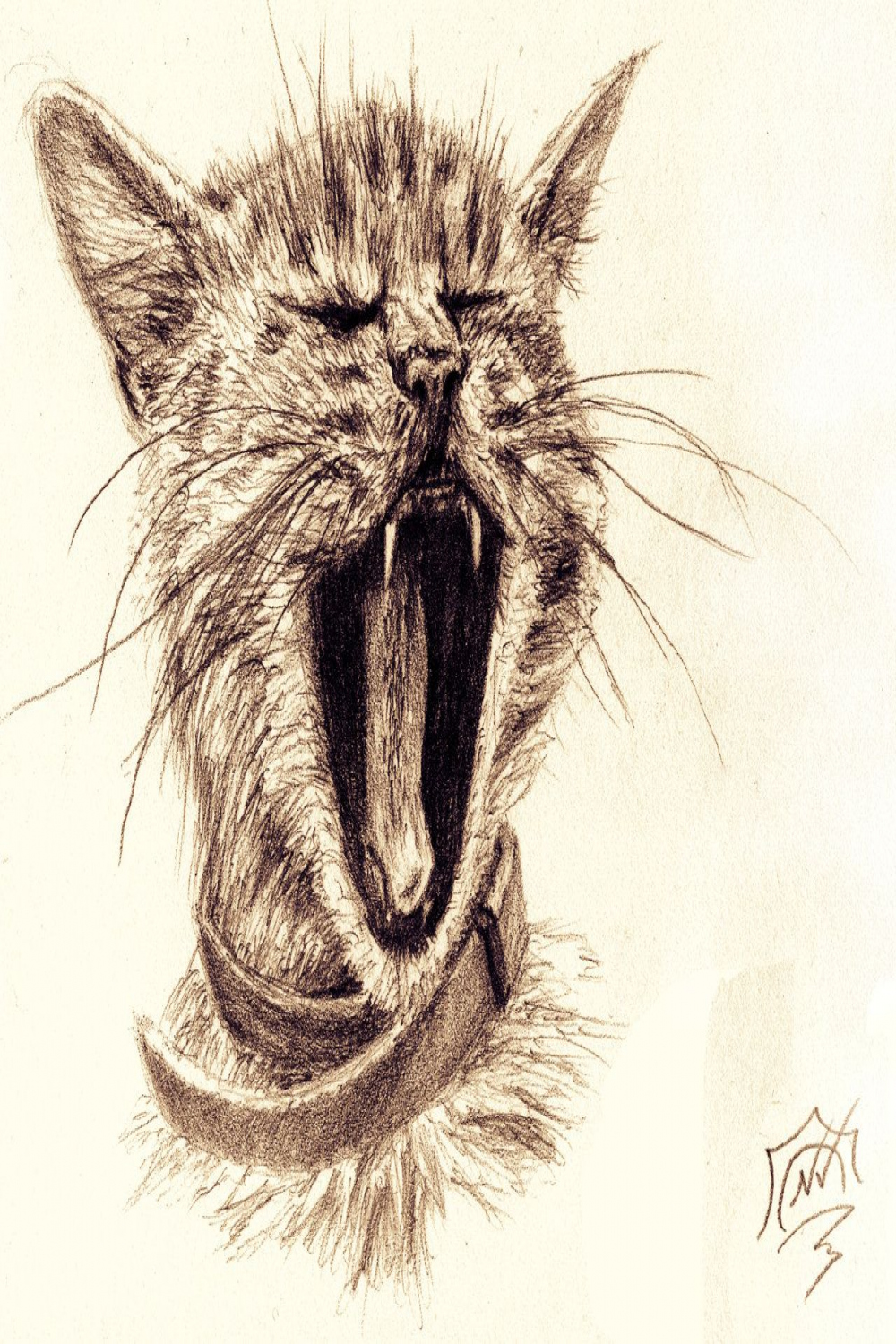 yawning kitten charcoal drawing  Cat yawn by Snoeffel on