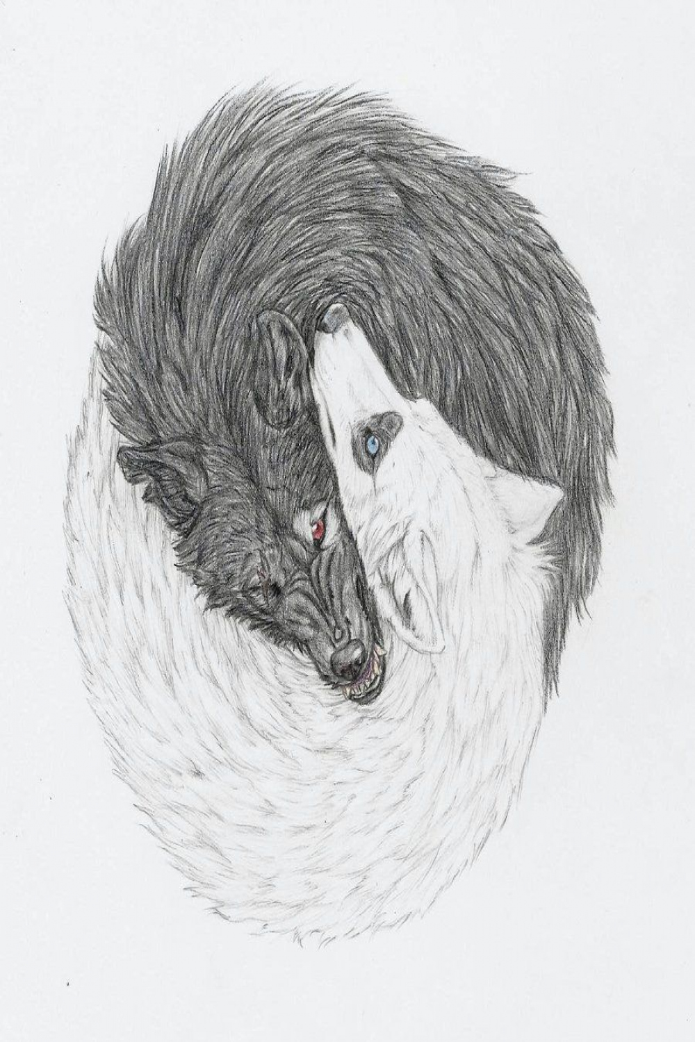 Yin and Yang Wolves" by mysteriouswhitewolf on deviantART  Wolf