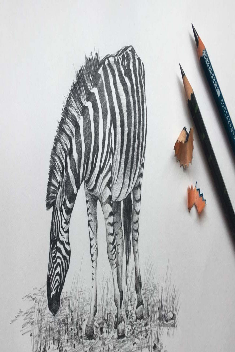 Zebra Drawing in Pencil  Zebra Pencil Sketch  Animal Drawing