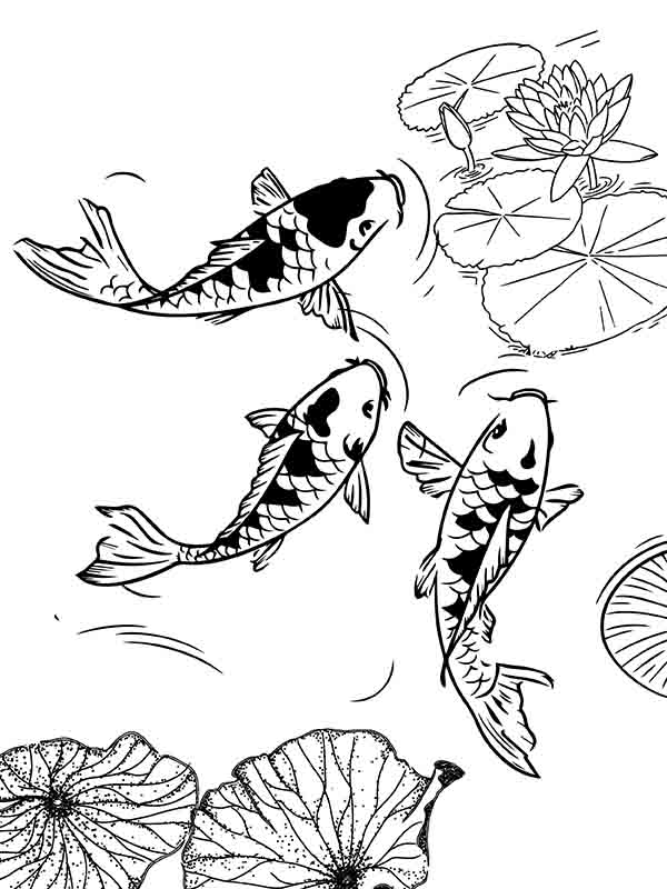 35 Printable Koi Fish Colouring Pages 20