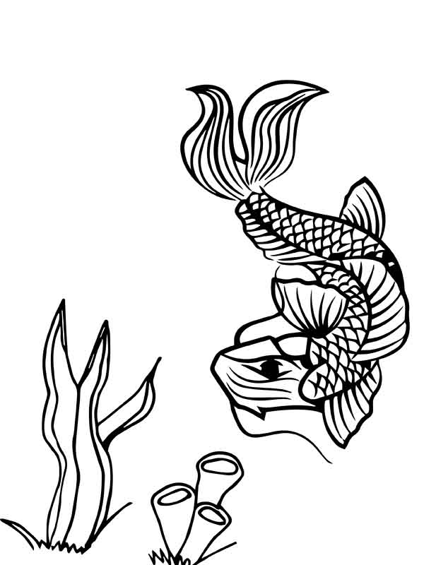 35 Printable Koi Fish Colouring Pages 35