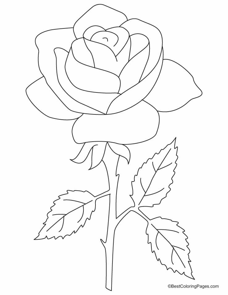 20 Flower Coloring Pages For Toddlers