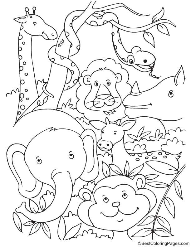 20 Simple Coloring Pages For Kids Animals